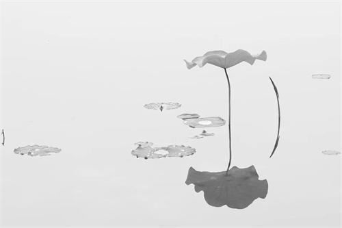 点击这里用新窗口浏览图片